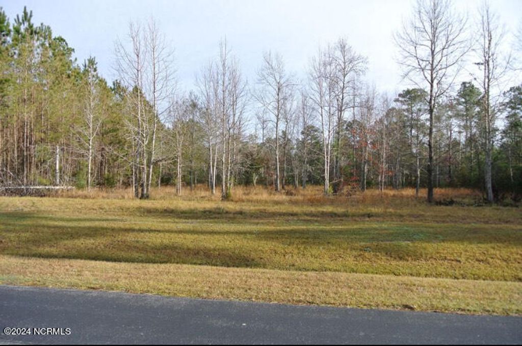 Photo of 187 Garbacon Drive, Beaufort, NC 28516 (MLS # 100491400)