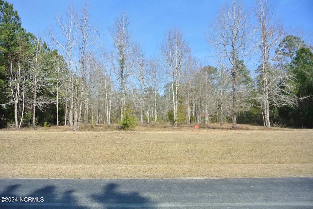 Photo of 187 Garbacon Drive, Beaufort, NC 28516 (MLS # 100491400)