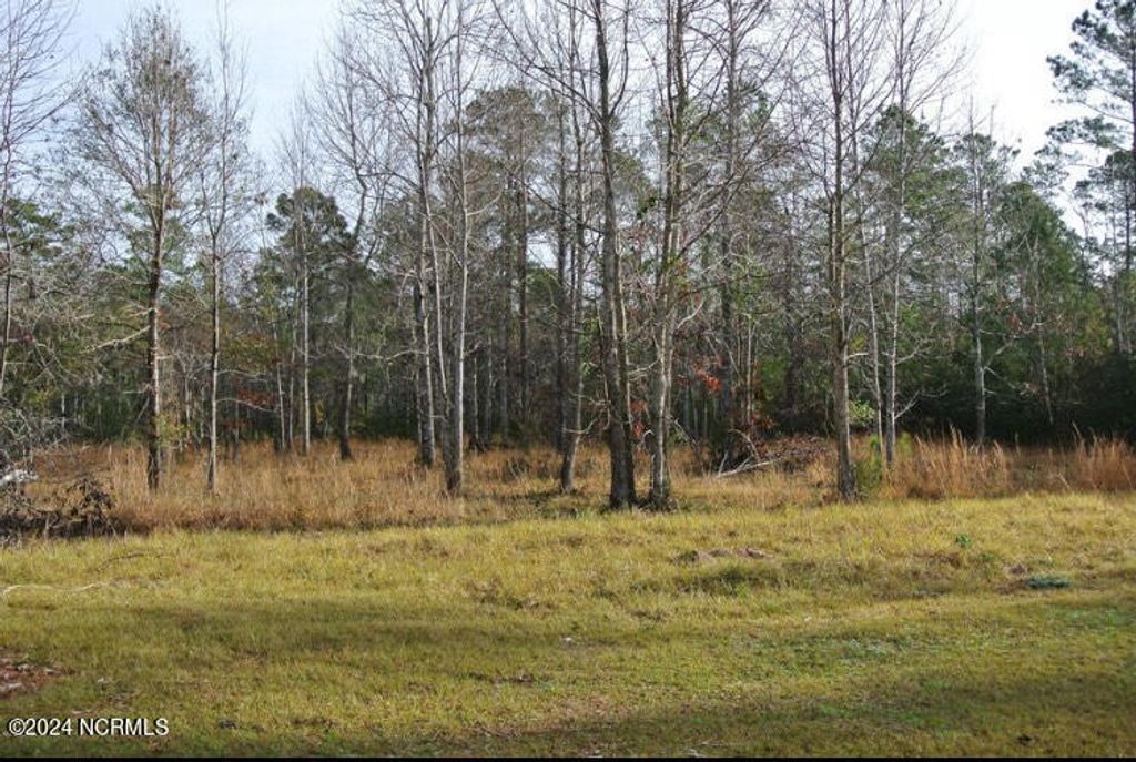 Photo of 187 Garbacon Drive, Beaufort, NC 28516 (MLS # 100491400)