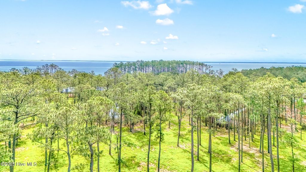 Photo of 175 River Watch Road, Oriental, NC 28571 (MLS # 100437178)