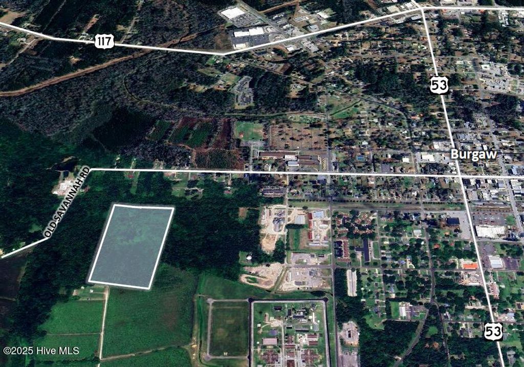Photo of 0000 Old Savannah Road, Burgaw, NC 28425 (MLS # 100533636)