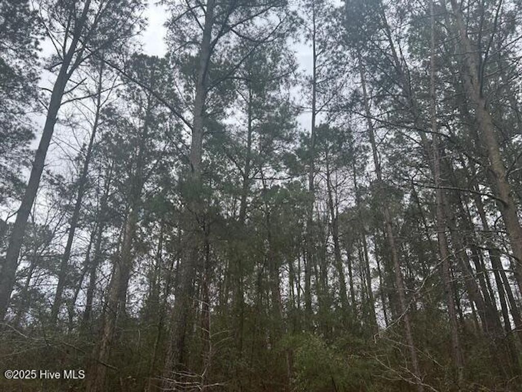 Photo of Tbd N N. Belgrade Avenue, Garland, NC 28441 (MLS # 100493907)