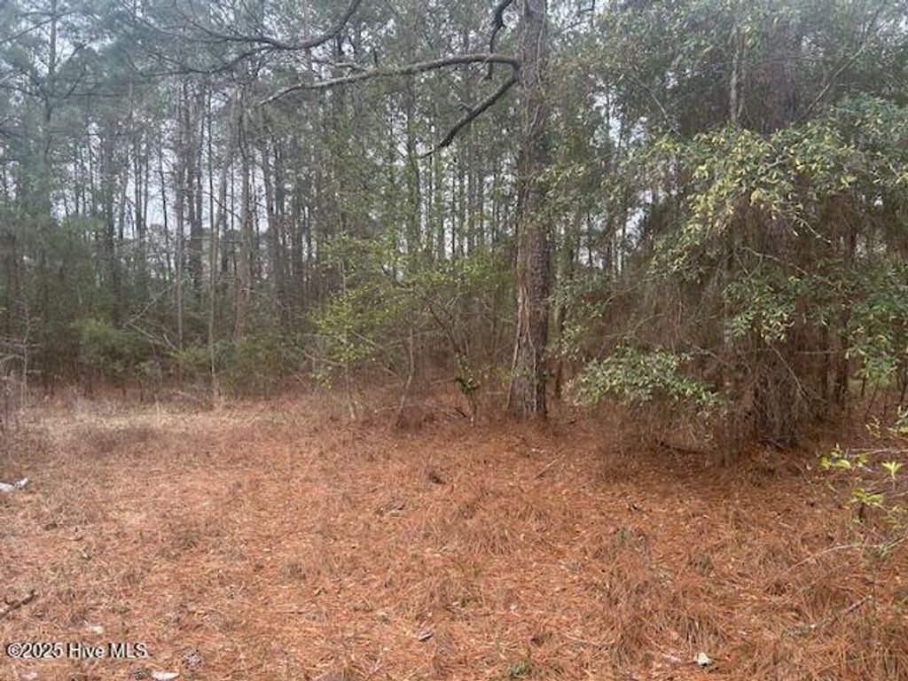 Photo of Tbd N N. Belgrade Avenue, Garland, NC 28441 (MLS # 100493907)