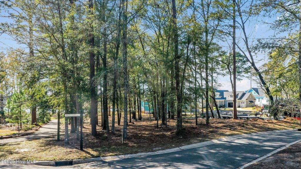 Photo of 929 Chair Road, Castle Hayne, NC 28429 (MLS # 100508585)