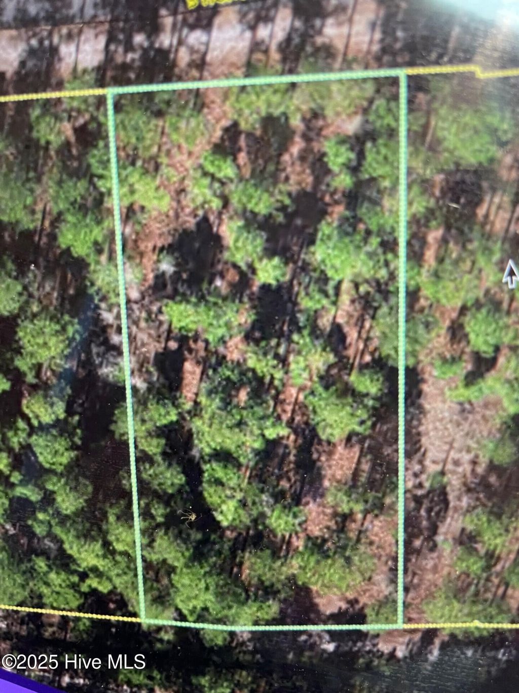 Photo of 296 S Horsepen Drive, Harrells, NC 28444 (MLS # 100508152)