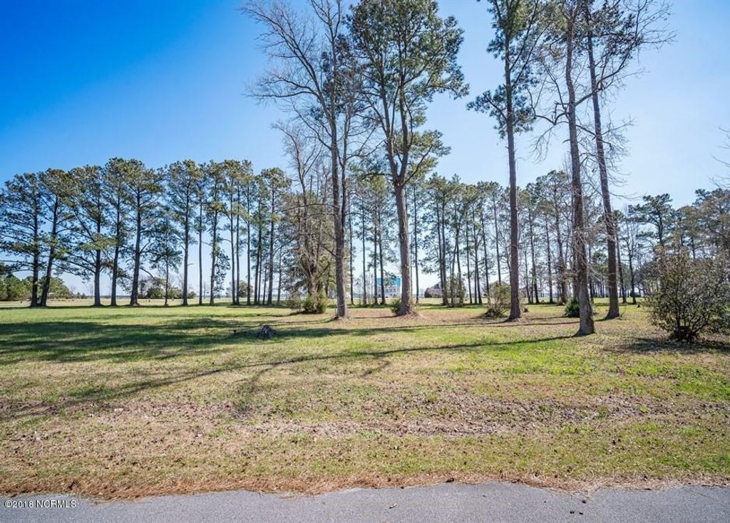 Photo of 4005 Tarpon Drive, Oriental, NC 28571 (MLS # 100487427)