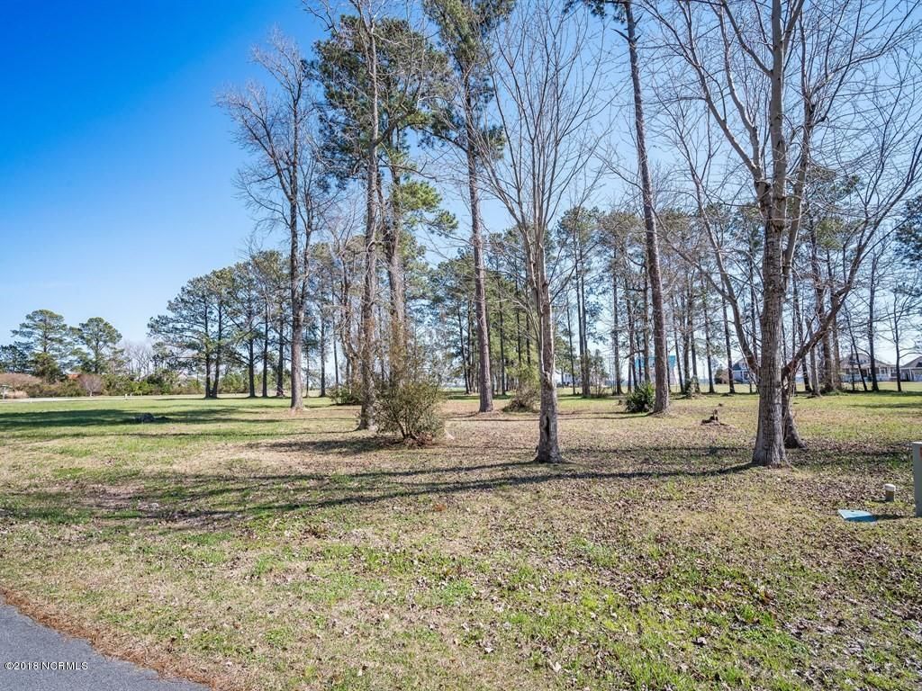 Photo of 4005 Tarpon Drive, Oriental, NC 28571 (MLS # 100487427)