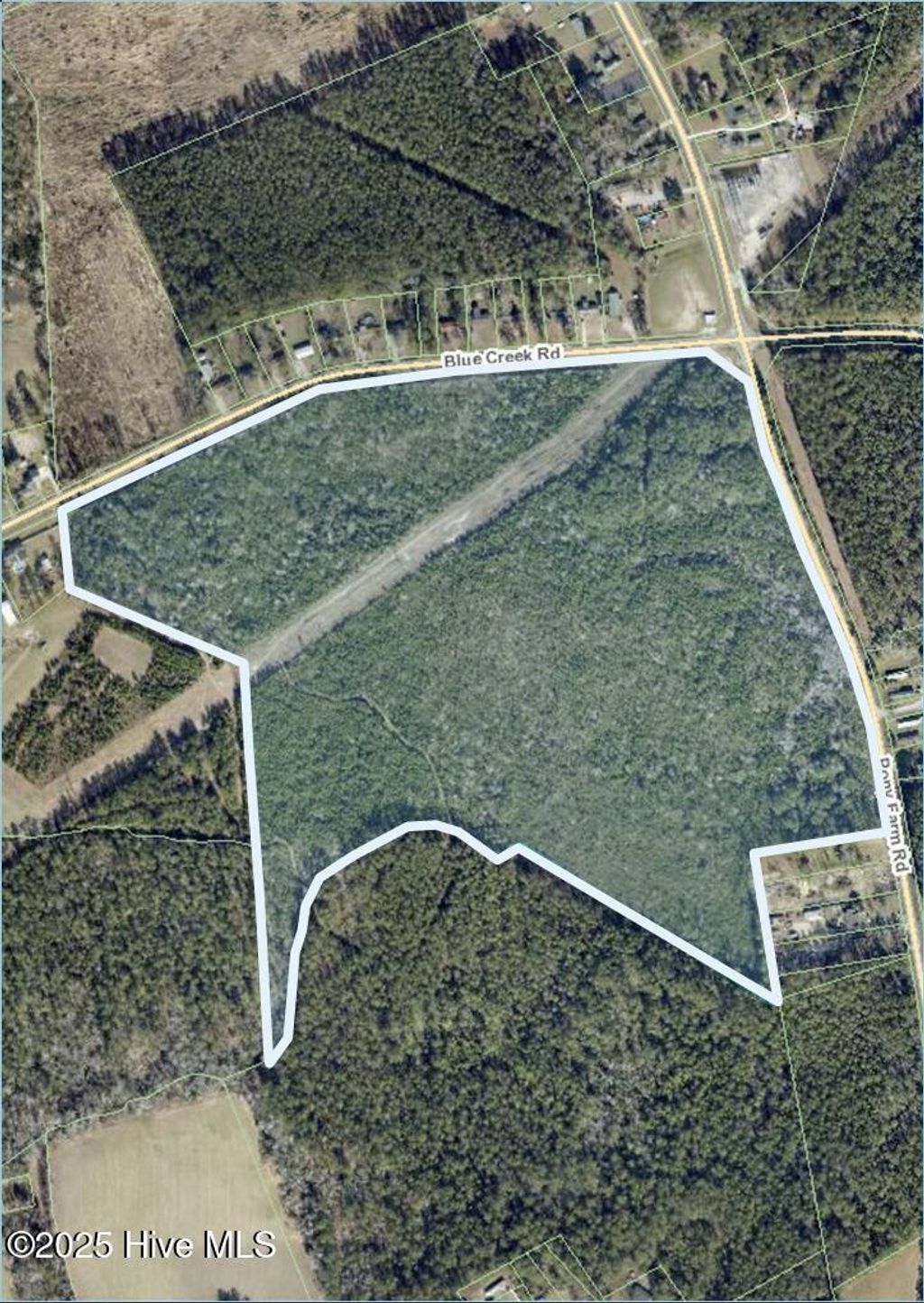 Photo of 0000 Blue Creek Road Road, Jacksonville, NC 28540 (MLS # 100510406)