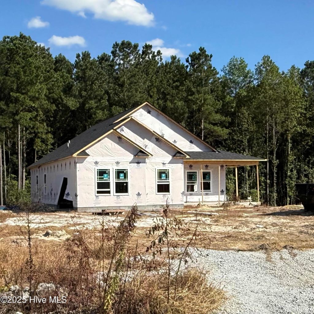 Photo of 117 Trellis Lane, Vanceboro, NC 28586 (MLS # 100529655)