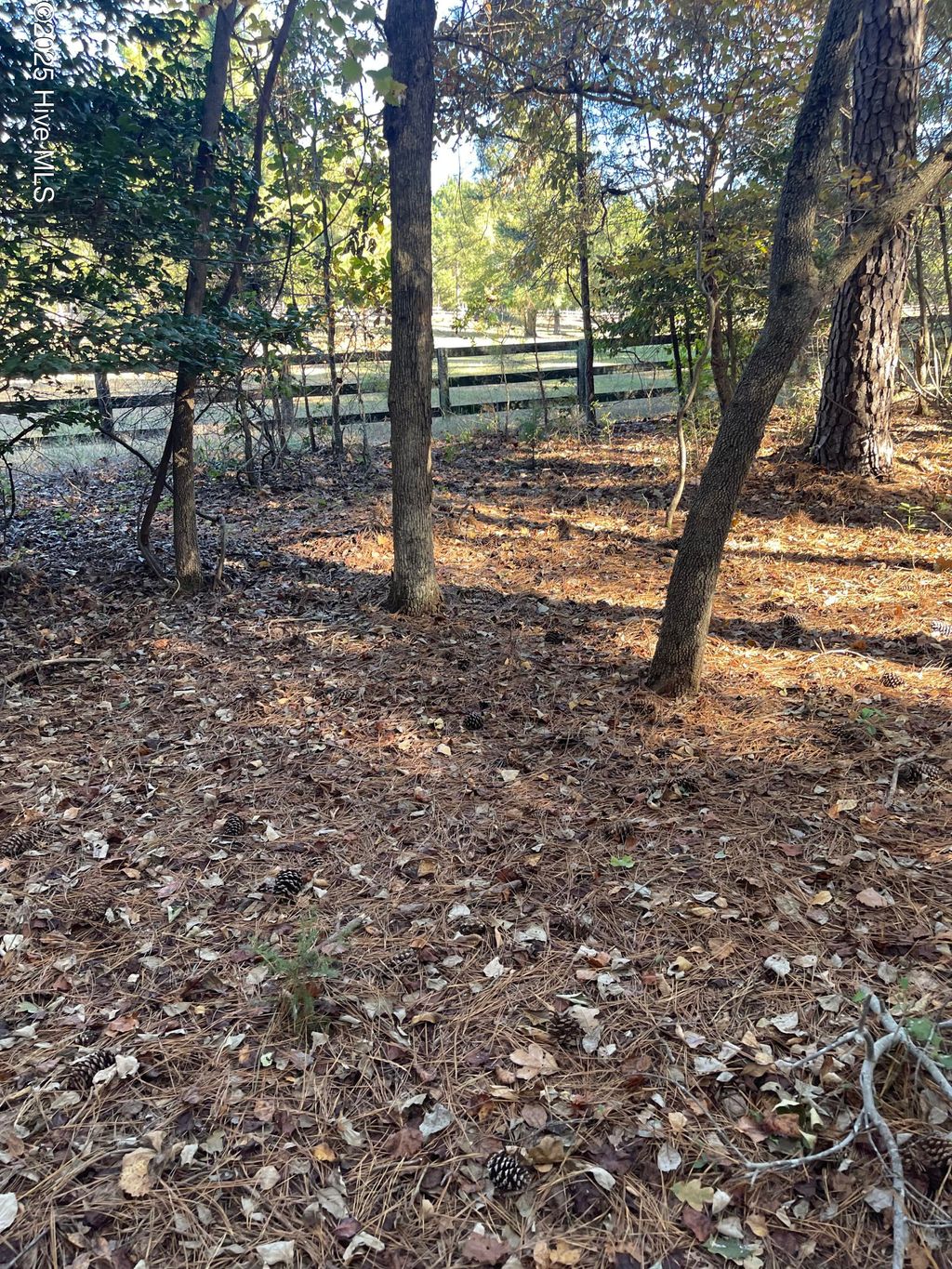 Photo of Tbd Richmond Road, Foxfire Village, NC 27281 (MLS # 100539238)