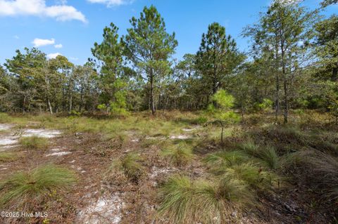 Tiny photo for 0 Green Swamp Rd Nw Road NW, Supply, NC 28462 (MLS # 100536371)