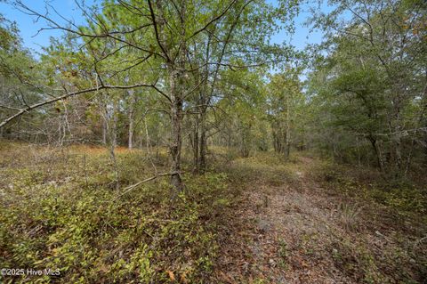 Tiny photo for 0 Green Swamp Rd Nw Road NW, Supply, NC 28462 (MLS # 100536371)