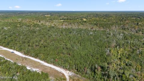 Tiny photo for 0 Green Swamp Rd Nw Road NW, Supply, NC 28462 (MLS # 100536371)