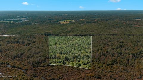 Tiny photo for 0 Green Swamp Rd Nw Road NW, Supply, NC 28462 (MLS # 100536371)