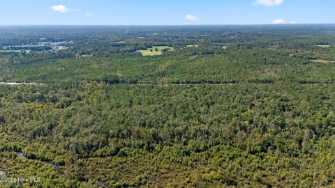 Tiny photo for 0 Green Swamp Rd Nw Road NW, Supply, NC 28462 (MLS # 100536371)