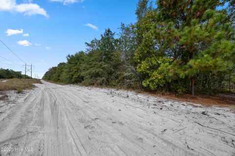 Tiny photo for 0 Green Swamp Rd Nw Road NW, Supply, NC 28462 (MLS # 100536371)