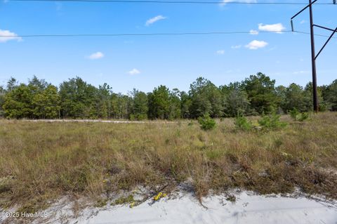 Tiny photo for 0 Green Swamp Rd Nw Road NW, Supply, NC 28462 (MLS # 100536371)