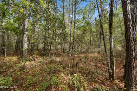 Tiny photo for 0 Green Swamp Rd Nw Road NW, Supply, NC 28462 (MLS # 100536371)