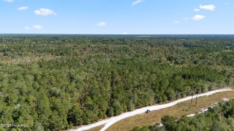 Tiny photo for 0 Green Swamp Rd Nw Road NW, Supply, NC 28462 (MLS # 100536371)