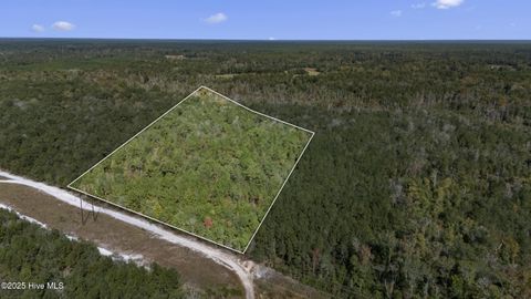 Photo of 0 Green Swamp Rd Nw Road NW, Supply, NC 28462 (MLS # 100536371)
