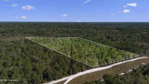 Tiny photo for 0 Green Swamp Rd Nw Road NW, Supply, NC 28462 (MLS # 100536371)
