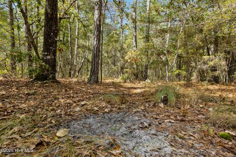 Tiny photo for 0 Green Swamp Rd Nw Road NW, Supply, NC 28462 (MLS # 100536371)