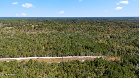 Tiny photo for 0 Green Swamp Rd Nw Road NW, Supply, NC 28462 (MLS # 100536371)