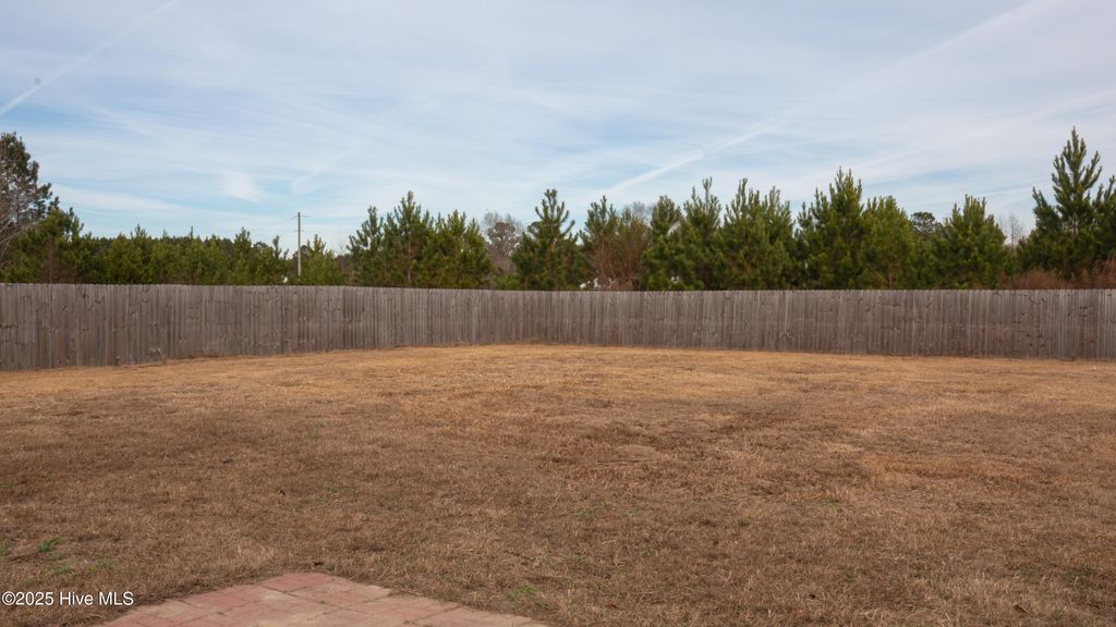 Photo of 217 Wingspread Lane, Beulaville, NC 28518 (MLS # 100543612)