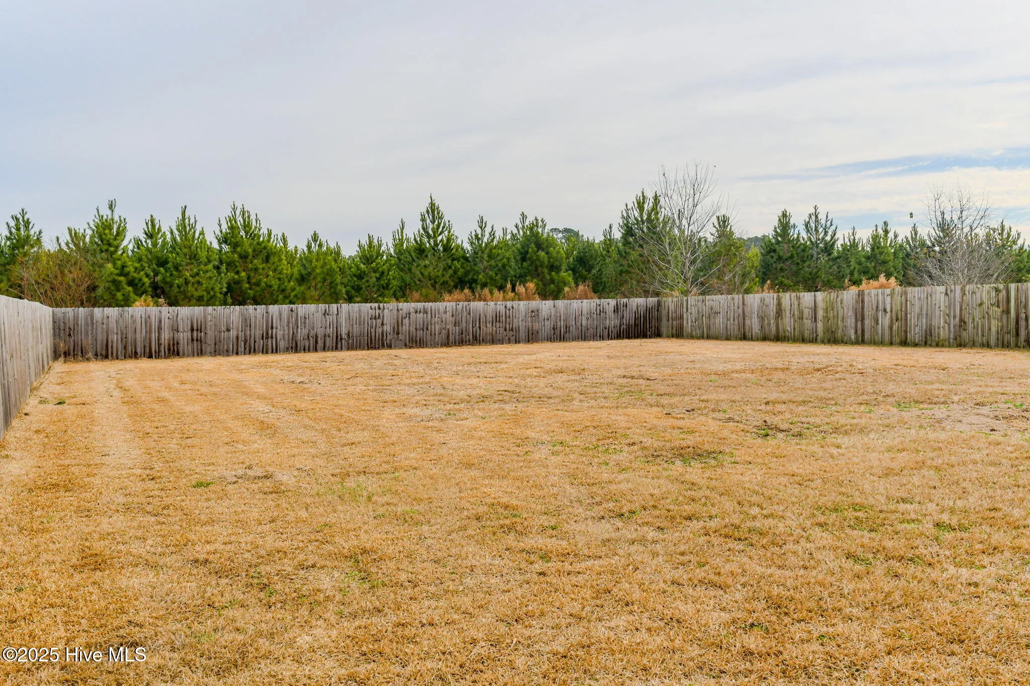 Beulaville, North Carolina 28518, United States, 3 Bedrooms Bedrooms, ,2 BathroomsBathrooms,Residential,Active,250520