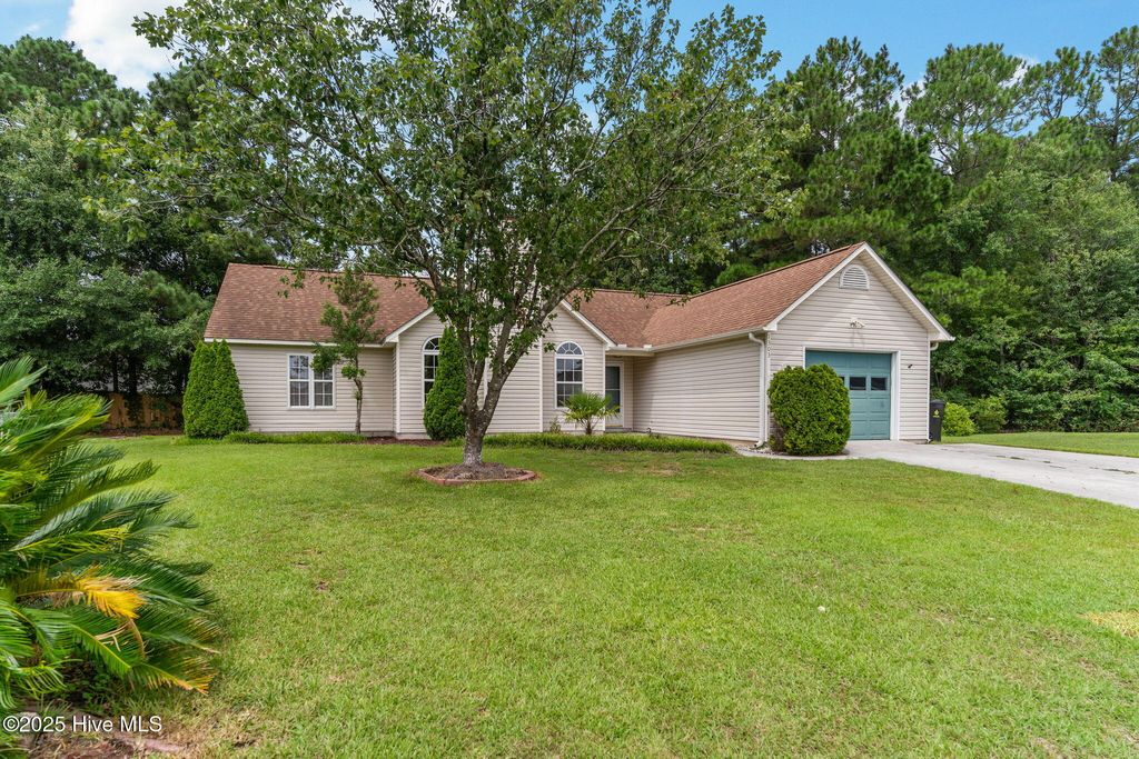 Photo of 1303 Big Horn Court, Wilmington, NC 28411 (MLS # 100524778)