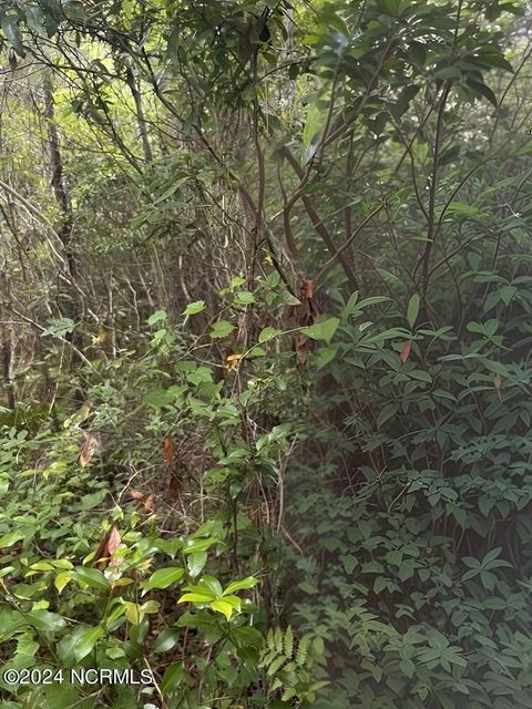 Tiny photo for 140 Lighthouse Drive, Carolina Beach, NC 28428 (MLS # 100520651)