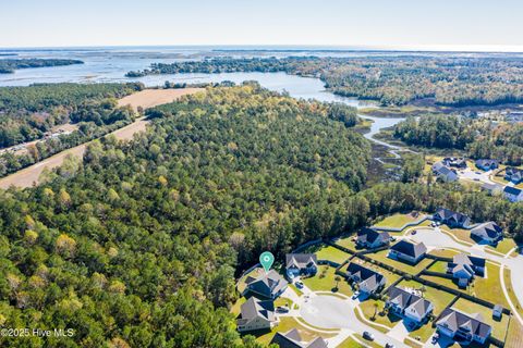 Tiny photo for 508 Diamond Ridge Court, Hubert, NC 28539 (MLS # 100538907)