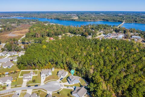 Tiny photo for 508 Diamond Ridge Court, Hubert, NC 28539 (MLS # 100538907)