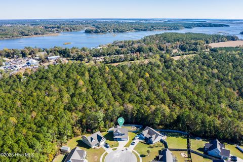 Tiny photo for 508 Diamond Ridge Court, Hubert, NC 28539 (MLS # 100538907)