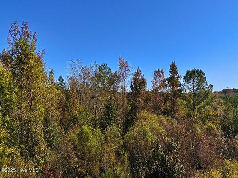 Tiny photo for 24451 50, Maple Hill, NC 28454 (MLS # 100538725)