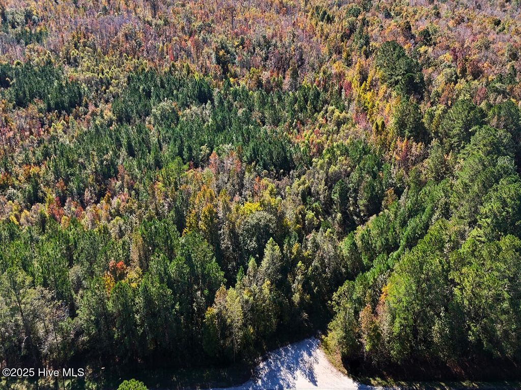 Photo of 24451 50, Maple Hill, NC 28454 (MLS # 100538725)