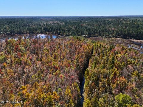 Tiny photo for 24451 50, Maple Hill, NC 28454 (MLS # 100538725)