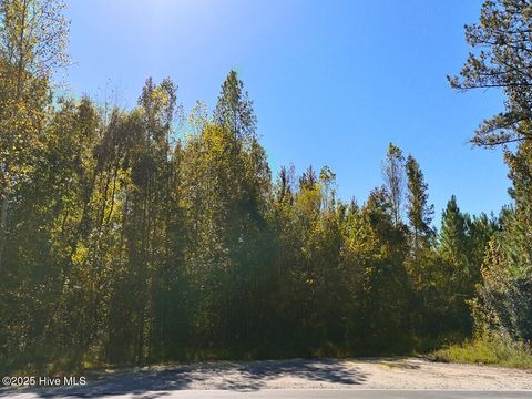 Tiny photo for 24451 50, Maple Hill, NC 28454 (MLS # 100538725)