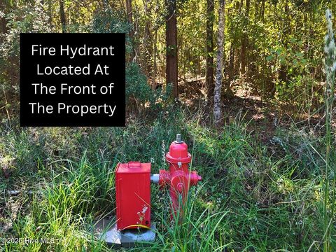 Tiny photo for 24451 50, Maple Hill, NC 28454 (MLS # 100538725)