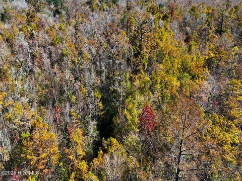 Tiny photo for 24451 50, Maple Hill, NC 28454 (MLS # 100538725)