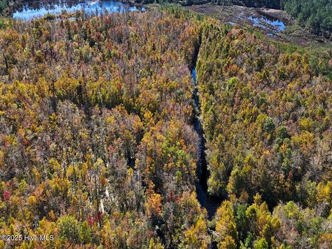 Tiny photo for 24451 50, Maple Hill, NC 28454 (MLS # 100538725)