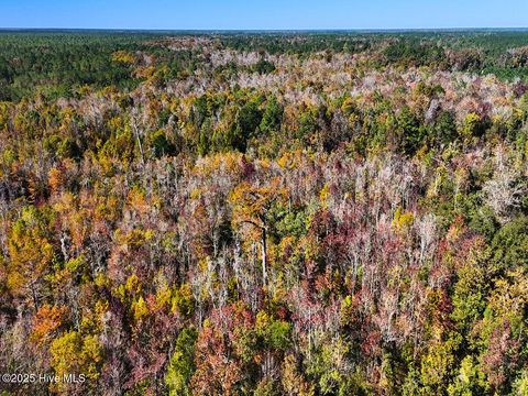 Tiny photo for 24451 50, Maple Hill, NC 28454 (MLS # 100538725)