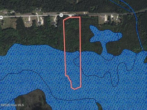 Tiny photo for 24451 50, Maple Hill, NC 28454 (MLS # 100538725)