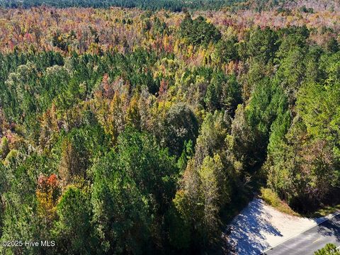 Tiny photo for 24451 50, Maple Hill, NC 28454 (MLS # 100538725)