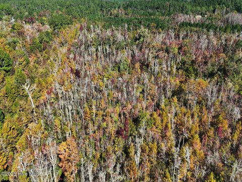 Tiny photo for 24451 50, Maple Hill, NC 28454 (MLS # 100538725)