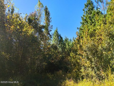 Tiny photo for 24451 50, Maple Hill, NC 28454 (MLS # 100538725)