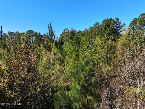 Tiny photo for 24451 50, Maple Hill, NC 28454 (MLS # 100538725)