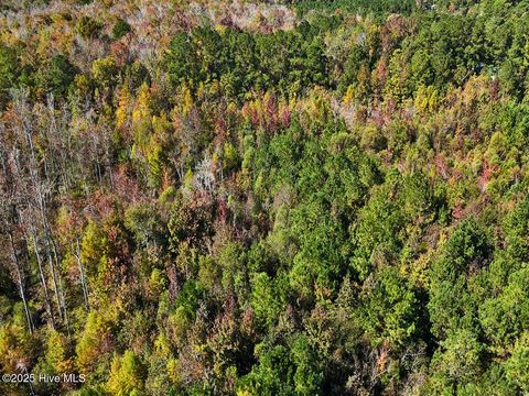 Tiny photo for 24451 50, Maple Hill, NC 28454 (MLS # 100538725)