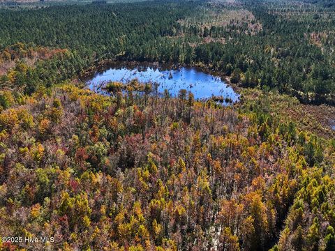 Tiny photo for 24451 50, Maple Hill, NC 28454 (MLS # 100538725)