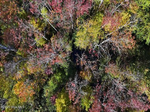 Tiny photo for 24451 50, Maple Hill, NC 28454 (MLS # 100538725)